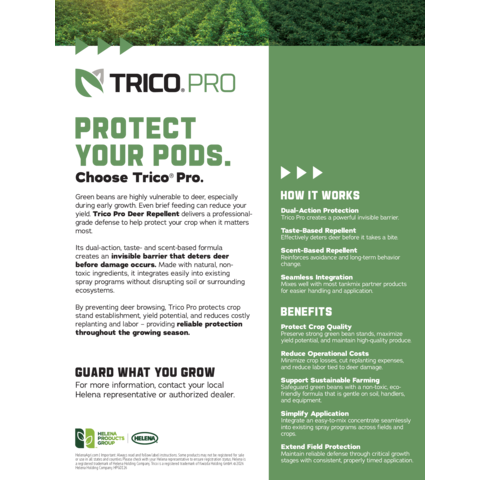 TricoPro Flyer GREENBEAN.pdf